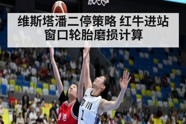 维斯塔潘二停策略 红牛进站窗口轮胎磨损计算